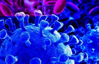 Una explicación del coronavirus, y  qué debemos hacer