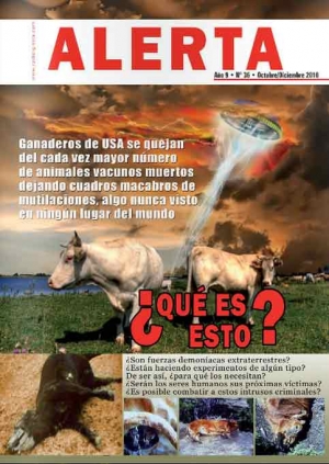 Revista N° 36